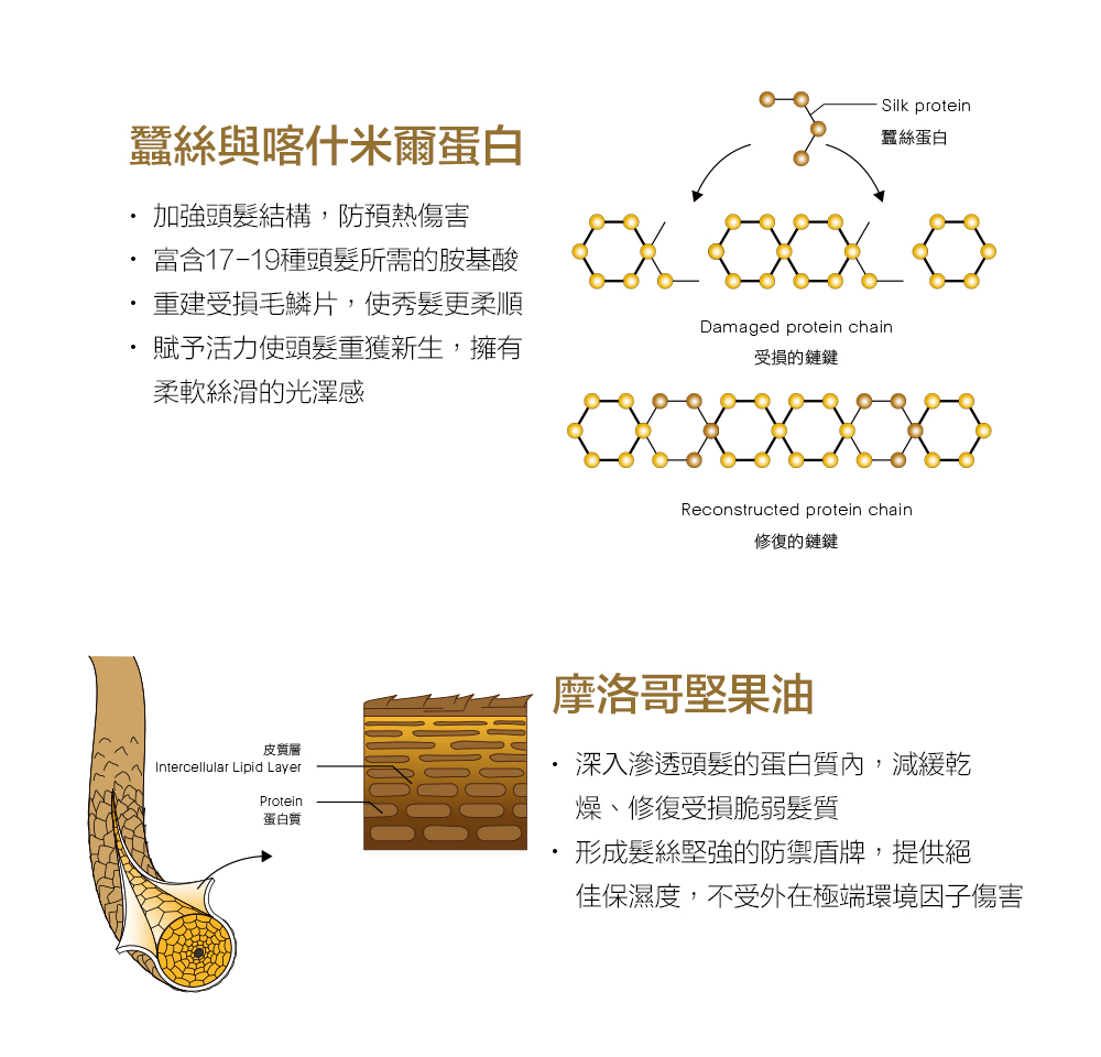 BALMAIN 白色圓筒賦活洗護禮盒(賦活新生洗髮精300ML 賦活新生護髮劑300ML 賦活新生髮膜200ML)