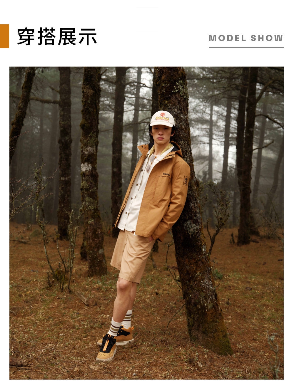  Timberland 