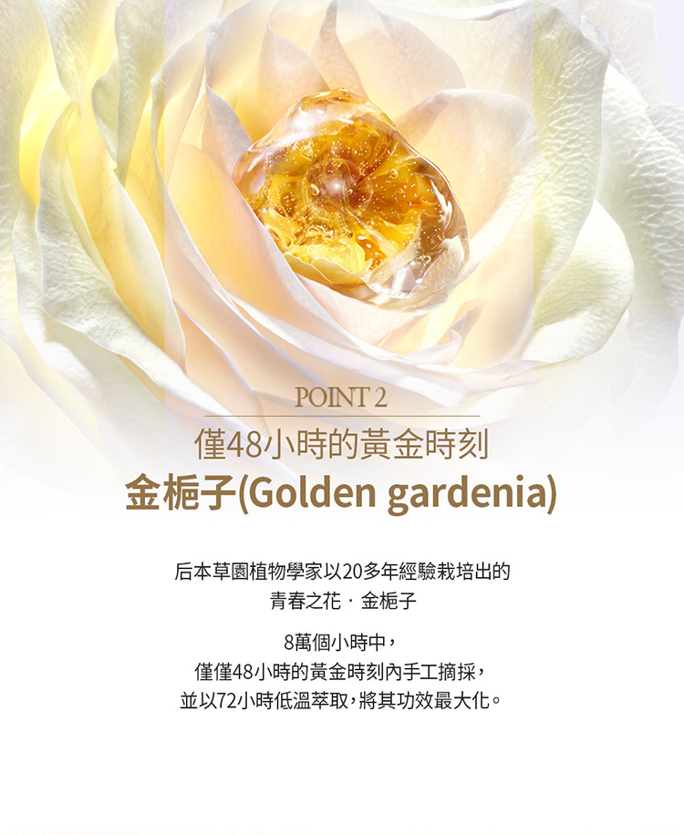 【Renew】天氣丹PRO光耀重生霜60ml